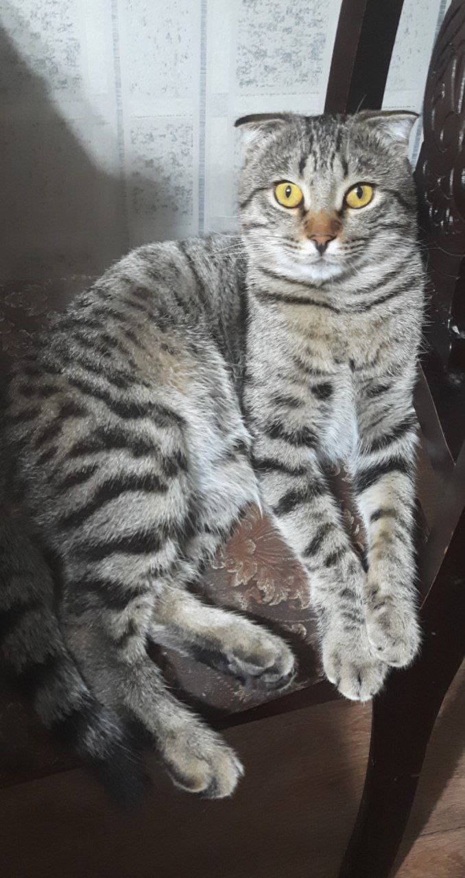 О погоде на 12 марта. Сегодня в Астрахани прогнозируют небольшую облачность, без осадков