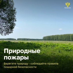 �������� ������� 70% ���� ������ ������� ���������� �� ���� ��������