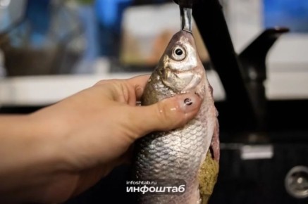 ���������, ��� � ������� ������