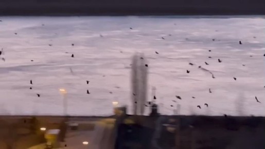 ���� ����� � ����, ��� ������� �������, 13-�