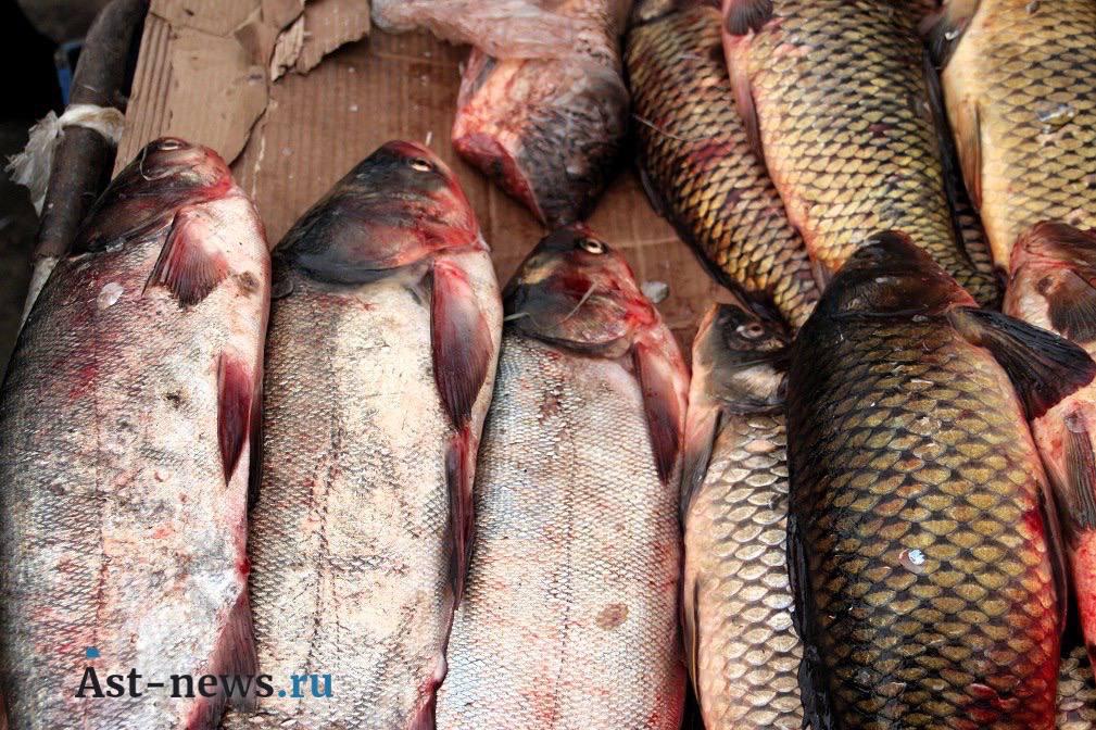 Задержка начала промысла изза погодных условий