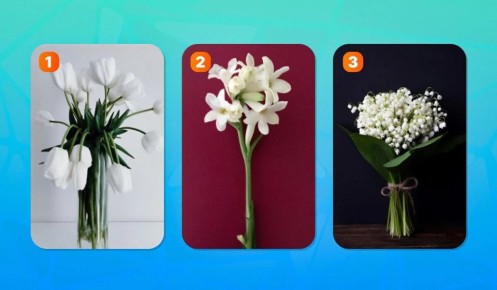 ����������� ��� ����������: ������� � ���� ����� ���������� ��������������� ����