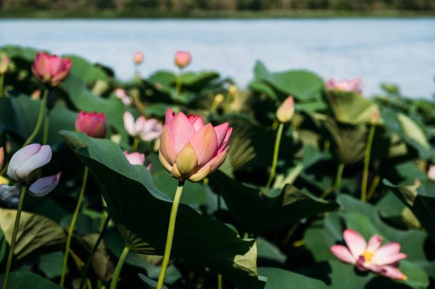 Развивать сельский туризм в Астраханской области станет проще