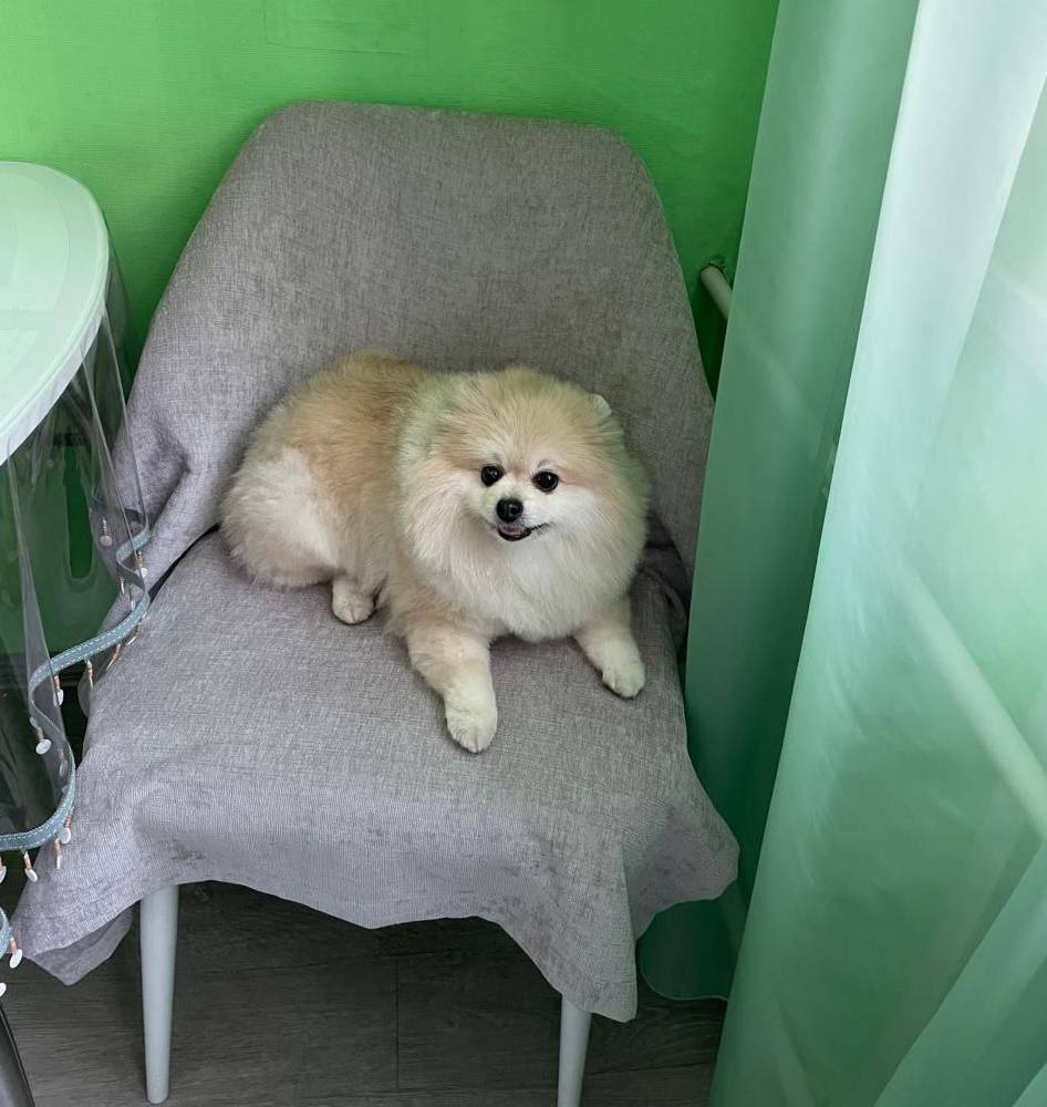 О погоде на 14 марта. Сегодня в Астрахани прогнозируют малооблачный день, без осадков