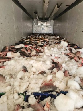 � ������������� ������ ����������� �������� ��������� ������� ������ ��������������� ����