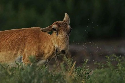 ������ ����. ���� ��������� ������� ��������� � ����� ��-������ ��� ������, �������� ������� ���������