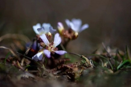 ������������ ����� ���������� ��������� ��������