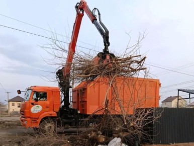 ����� �������: ���������� ��������� ����� � �������