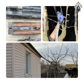 � ������������ ������� �������� �������� �������� ������