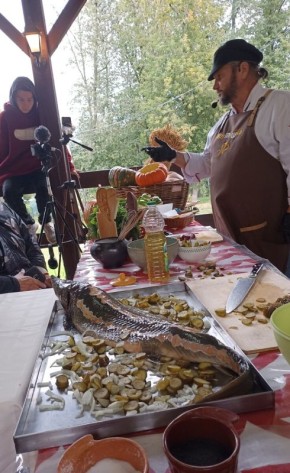 ����� �� ����������� ������� ������� ���������