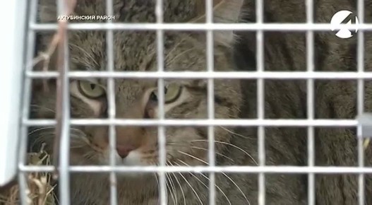 ������ ������� ����� ����� ����� ��������� �� ��������� ������������ ������