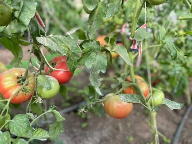 ��� ������ �������� ������� � ������� ��������� �� ����� ��� ���