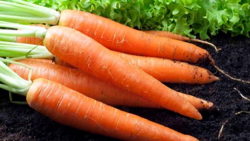 ��� ��������� ��������� ������� � ������������ ��������� � ��������