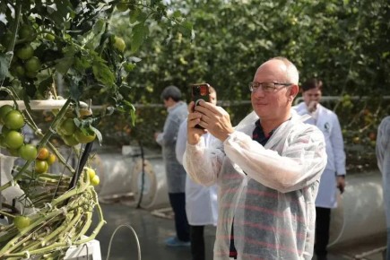 ���������� �������������� �������������� ������ ������ ������ - ���� �����Ȼ ��������, ��� ���������� ������������ ������