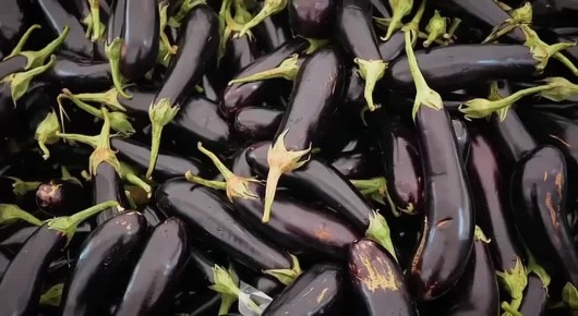 Обожаю свою страну и свой регион!