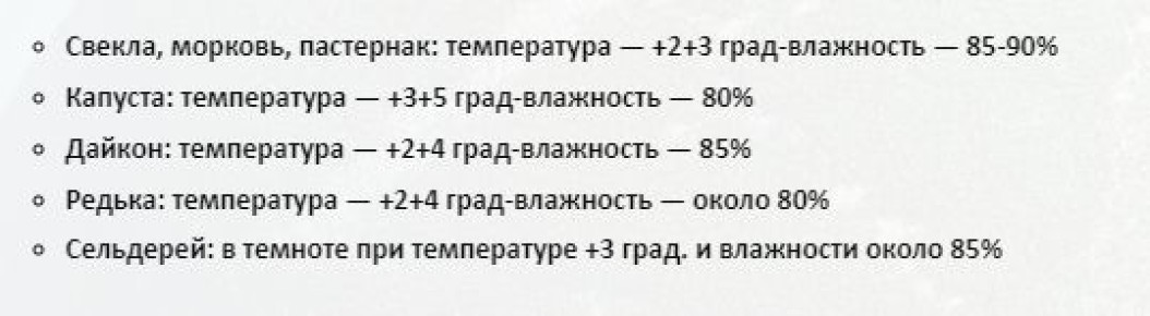 Как сохранять свеклу дольше: полезные советы для огородников