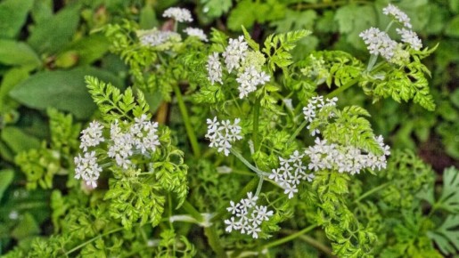 �� ������ �� ����: ������� ��������� ����������� ������� � ����������� �������� � ���������� ��������