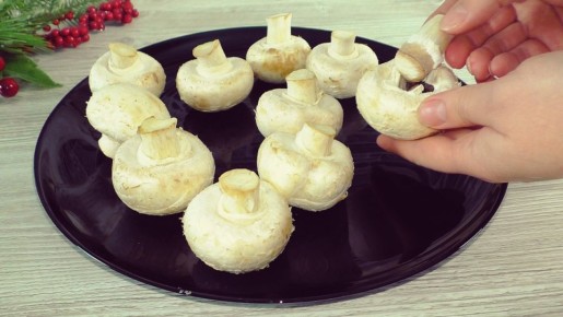 ������� � ������� ������ ����������� � �������