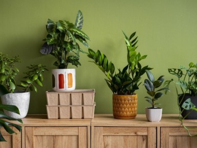 ��� ���� �������� ����� �������� ����� ����� � ���� ��������