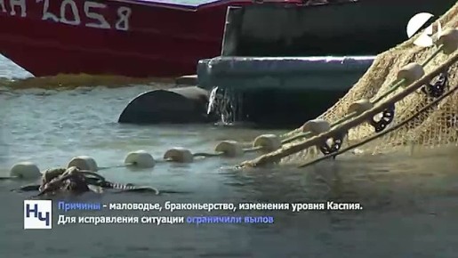 �� ����� ��� ����� ��������� ��� � ������������ ������� ����� � ������� ����