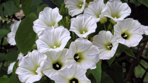 ������ �� ���������� ��������: ��� ��������� � ����� 2026 ����