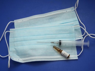 � ���� ���������� �������� ������������ ����������� �� �������