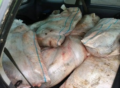 � ������������ ������� ����������� ���������� �������� ����������, � ������� ��������� ������������ ����� 200 ����������� ����