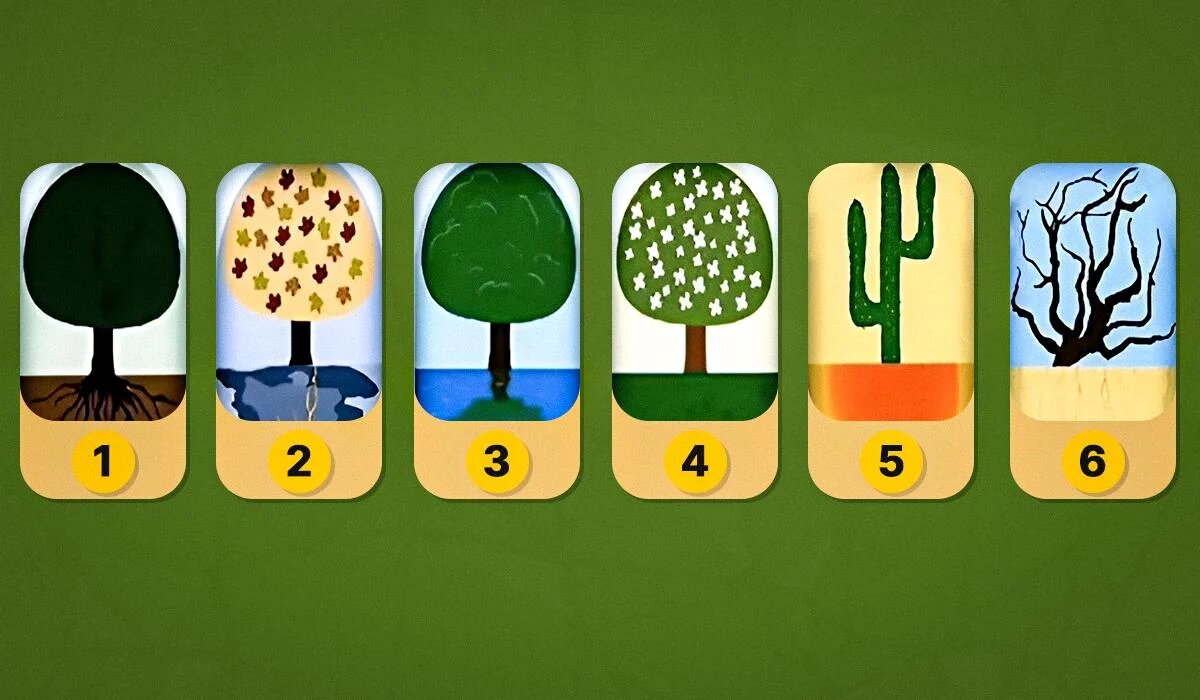 Как ваш выбор дерева раскроет вашу личность