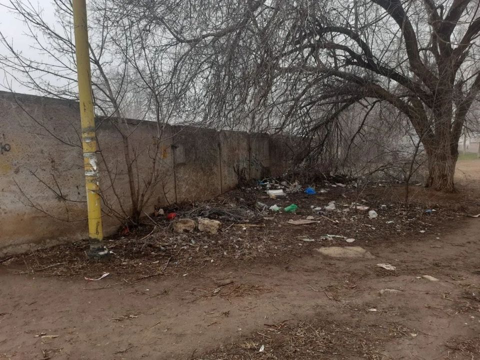 ������������ �������� ����������� � ������ ���������� ������ ��������������� �� ���������� �������������� ����������� ������ ���������