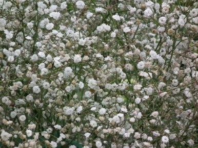 ��� ��������� ����� ����� ����������� ��� ��������� ������� ��������