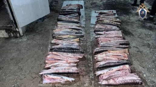 � ��������� ������ ��������������� ��������� ���������������� ���������� �������������� ���������� ����� ����� �� ��������� � ��������� ������