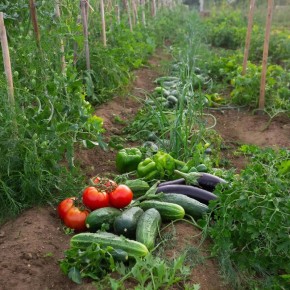 ������� ����������� ������� ���������: ��� ����� ����� ������� ��������