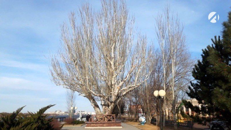 Завтра в Астраханской области потеплеет до +22°