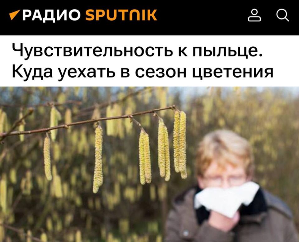 «Чувствительность к пыльце. Куда уехать в сезон цветения»: Россиянам предложили переехать в Мурманскую область из-за аллергии