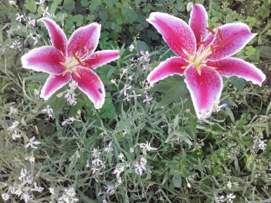 ��������� �����: ��� ������� �������� ����� ��� ������ ����