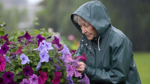 ��� �������� ������� � ������ �� ���������� ����: ����������� �������� � ������� �����