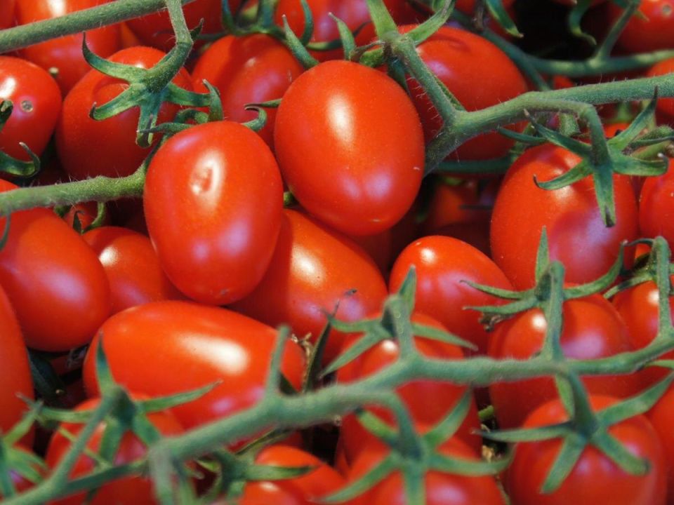 Вкусные сюрпризы черри: 10 сортов помидоров, которые стоит опробовать