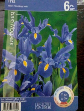 ����������� ���� ��� ������: ���� �������� � ������������ �������