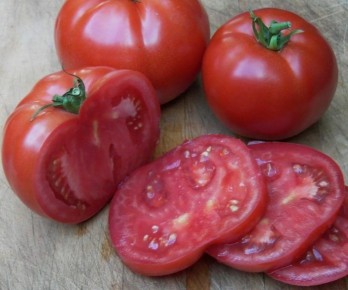 ���������� �������� ����� ������ ��� ���: ����� ������������ ������������ � �����