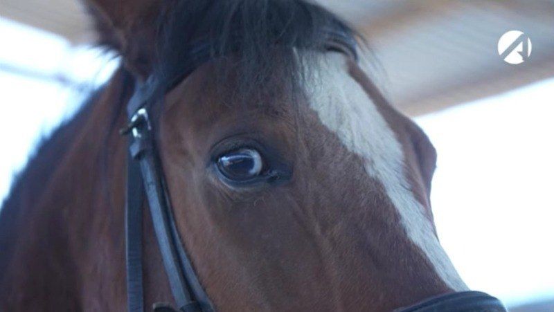 ������������ ��������������� ����� ����������� �� ����� �������