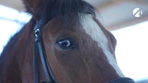 ������������ ��������������� ����� ����������� �� ����� �������