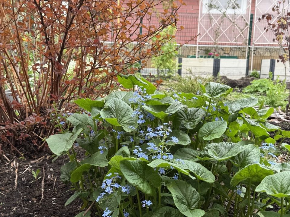 �������� ���������: ��������� ������� ��� ������ ��������� ����