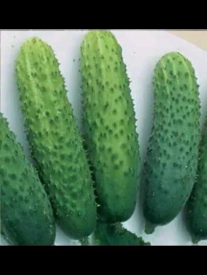 ������ ����������: ��������� ����� ��� ������ �������