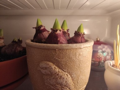 ����� ����������: ��� ������ � ���������� ������� ��� � �������