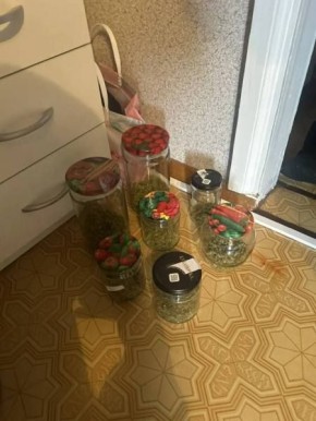 ���� ����� ��������� ������ � ����������