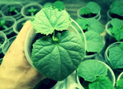 ��� ��������� ������������� ������� ������� ��� ������������� ������