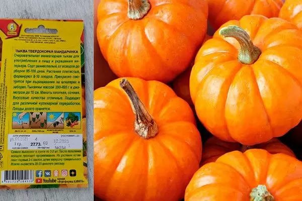 Тыква Мандаринка: компактный урожай с великолепным вкусом