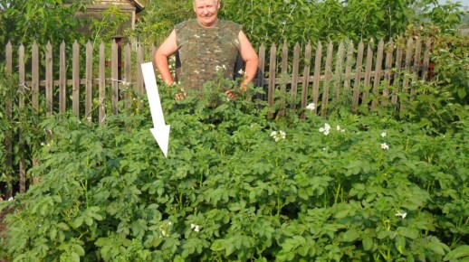 ������ � ������: ������, ��� ������ ������ �� �����