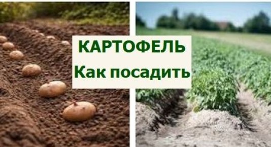 ��� ��������� �������� ���������: ������ ��� ��������� ������