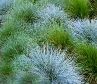 ����� � �����: ���� ������� ��������� ���������